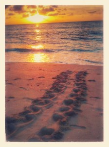 IMG_20140528_064111-EFFECTS